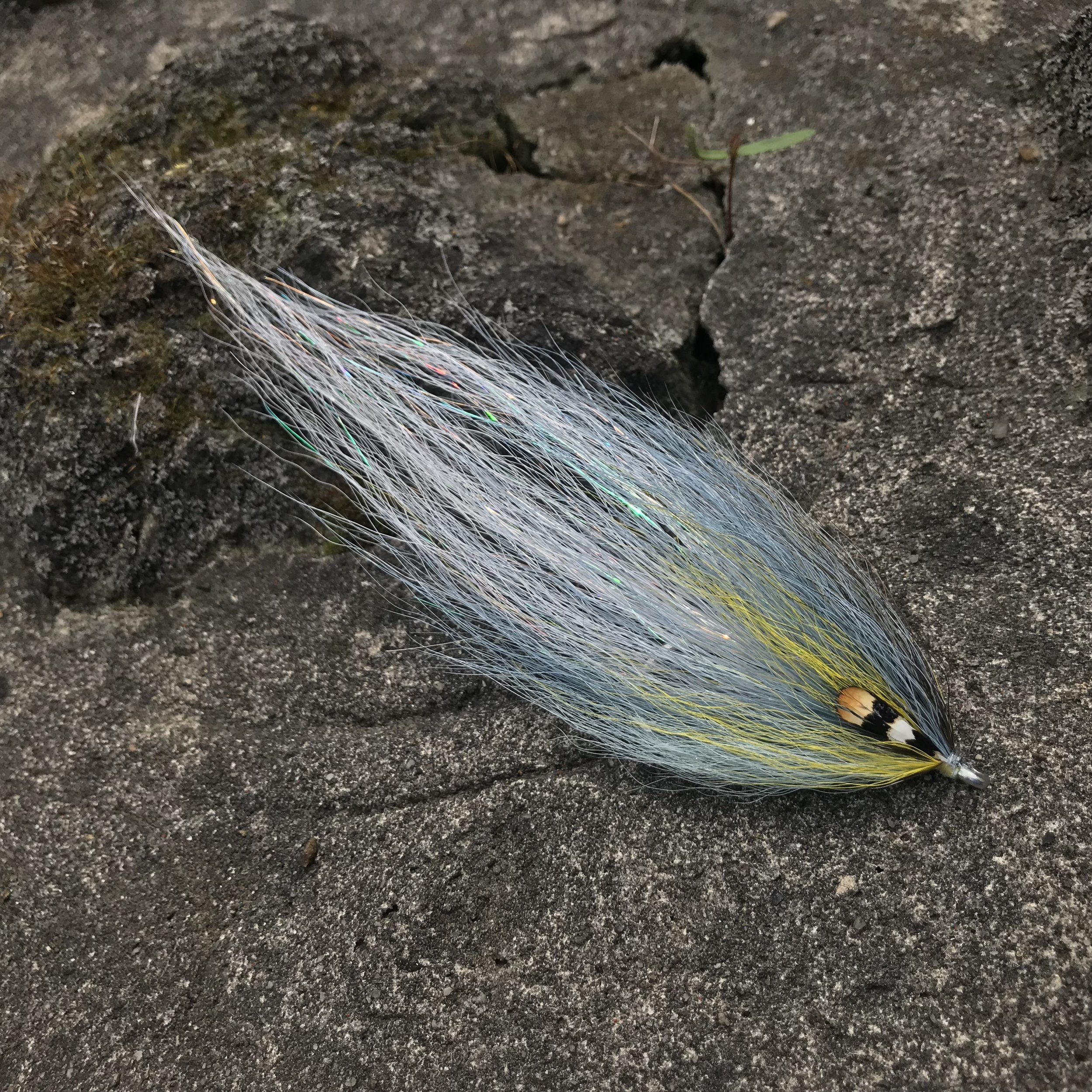 2022 Meet Up #4 - Jason Taylor — Masters of the Fly
